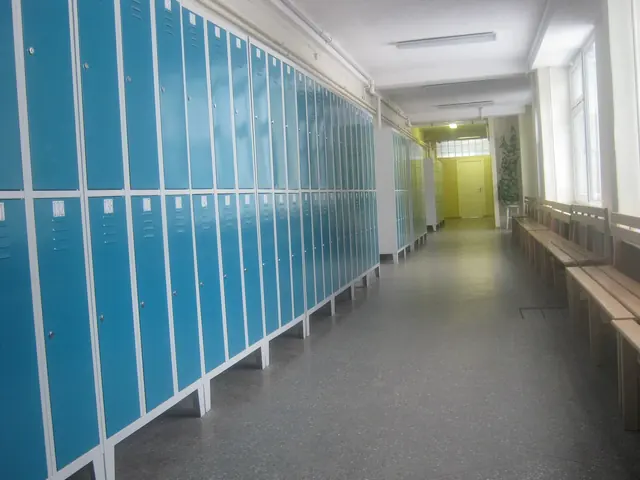 A long row of bright lockers in a modern school corridor